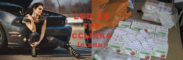 PSILOCYBIN Белокуриха