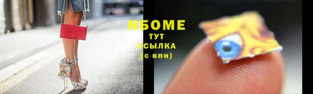 PSILOCYBIN Белокуриха