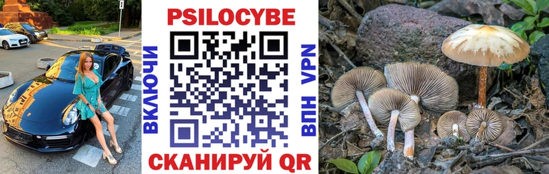 Галлюциногенные грибы GOLDEN TEACHER  MEGA ССЫЛКА  Воронеж 