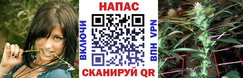 купить наркотики цена  Воронеж  Конопля LSD WEED 